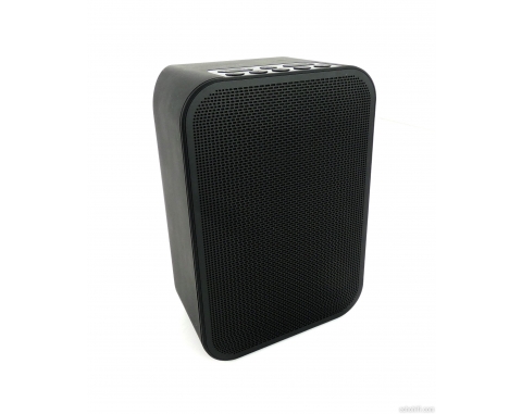 Bluesound Pulse Flex 2i Bluesound Pulse Flex 2i